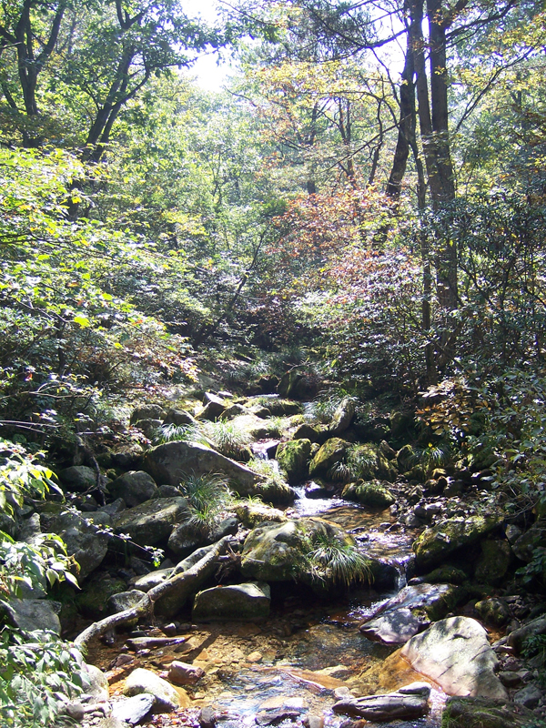 100_0386.jpg